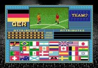 Cкриншот Champions World Class Soccer, изображение № 758680 - RAWG