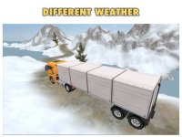 Cкриншот Truck Simulator 3D Offroad, изображение № 1786574 - RAWG