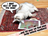 Cкриншот Lucky Cat Lottery Numbers - Catch Game For Cats, изображение № 1739535 - RAWG