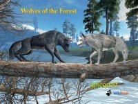 Cкриншот Wolves of the Forest, изображение № 973569 - RAWG