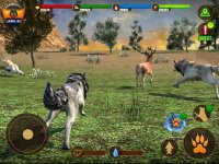 Cкриншот Wolf Life Simulation 2017, изображение № 1843805 - RAWG