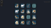 Cкриншот Animals Memory, изображение № 3594471 - RAWG