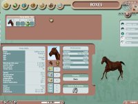 Cкриншот Фаворит: Магнат конного спорта, изображение № 365321 - RAWG