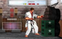 Cкриншот Karate Master 2 Knock Down Blow, изображение № 136670 - RAWG