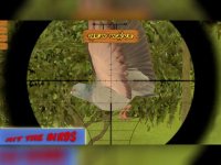 Cкриншот Boscage bird hunting: Wildlife sniper shooter, изображение № 1832837 - RAWG