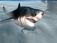 Cкриншот Shark Simulator 3D 2016 - Ocean animals, изображение № 935940 - RAWG