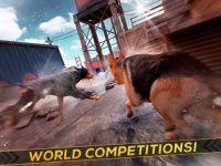 Cкриншот My Dog Game . Best Doggy Racing Game For Free Little Girls, изображение № 1762081 - RAWG