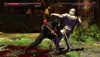 Cкриншот Deadliest Warrior: The Game, изображение № 545481 - RAWG
