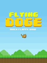 Cкриншот Flying doge: wow!, изображение № 1682817 - RAWG
