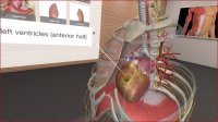 Cкриншот 3D Organon VR Anatomy, изображение № 133207 - RAWG