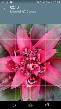 Cкриншот Jigsaw Puzzle: Flowers, изображение № 1497466 - RAWG