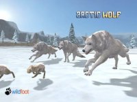 Cкриншот Arctic Wolf, изображение № 2574264 - RAWG
