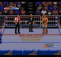 Cкриншот WWF Rage in the Cage, изображение № 740434 - RAWG