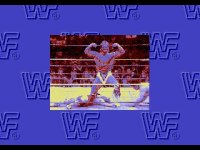 Cкриншот WWF Rage in the Cage, изображение № 740430 - RAWG