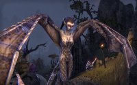 Cкриншот The Elder Scrolls Online, изображение № 593983 - RAWG