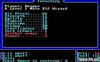 Cкриншот Ultima I: The First Age of Darkness, изображение № 325015 - RAWG