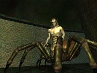 Cкриншот EverQuest: Depths of Darkhollow, изображение № 432551 - RAWG