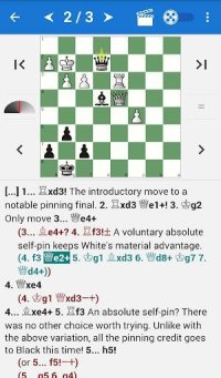Cкриншот Encyclopedia Chess Combinations Vol. 3 Informant, изображение № 1502410 - RAWG