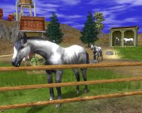 Cкриншот Wildlife Park 2: Horses, изображение № 493890 - RAWG