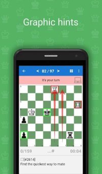 Cкриншот Chess Endgame Studies, изображение № 1501760 - RAWG