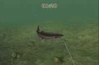 Cкриншот Reel Fishing Challenge, изображение № 788969 - RAWG