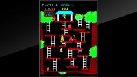 Cкриншот Arcade Archives Kangaroo, изображение № 2450723 - RAWG