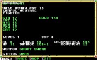 Cкриншот Neverwinter Nights (1991), изображение № 468735 - RAWG