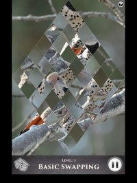 Cкриншот Hidden Scenes - Winter Birding, изображение № 1676025 - RAWG