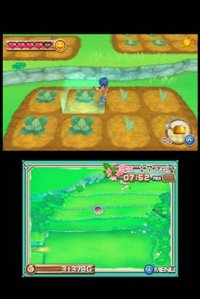 Cкриншот Harvest Moon 3D: A New Beginning, изображение № 260949 - RAWG