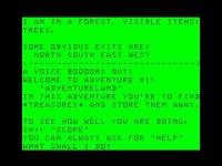 Cкриншот Adventureland (1978), изображение № 753544 - RAWG