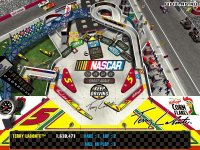 Cкриншот 3-D Ultra NASCAR Pinball, изображение № 325329 - RAWG