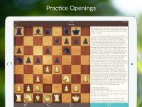 Cкриншот Chess Tactics and Lessons, изображение № 2682051 - RAWG