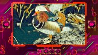 Cкриншот Twizzle Puzzle: Birds, изображение № 3669809 - RAWG