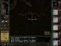 Cкриншот Wizards & Warriors: Quest for the Mavin Sword, изображение № 1323985 - RAWG