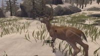 Cкриншот Deer Hunter: Reloaded, изображение № 660525 - RAWG