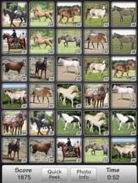 Cкриншот Horses Match Memory Game: Pair Up Horse Photos, изображение № 982038 - RAWG