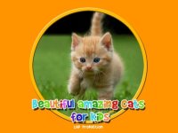 Cкриншот beautiful amazing cats for kids free, изображение № 1866658 - RAWG