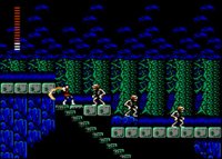 Cкриншот Castlevania II: Simon's Quest (1987), изображение № 767893 - RAWG