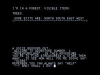 Cкриншот Adventureland (1978), изображение № 753528 - RAWG