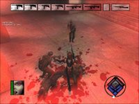 Cкриншот BloodRayne, изображение № 217863 - RAWG