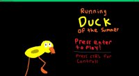 Cкриншот Running Duck of The Summer, изображение № 2411717 - RAWG