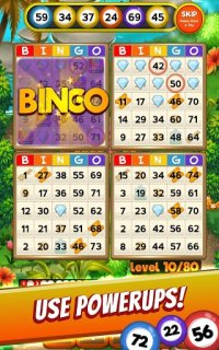 Cкриншот Bingo Quest - Summer Garden Adventure, изображение № 2072981 - RAWG