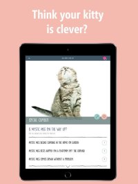 Cкриншот How Smart Is Your Cat? Fun Ways to Find Out!, изображение № 1729057 - RAWG