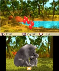 Cкриншот Outback Pet Rescue 3D, изображение № 243167 - RAWG