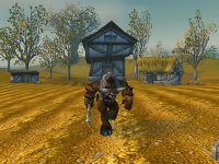 Cкриншот World of Warcraft, изображение № 351905 - RAWG