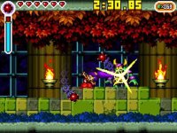 Cкриншот Shantae: Risky's Revenge, изображение № 2160858 - RAWG
