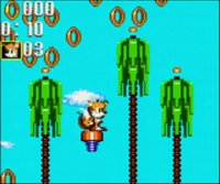 Cкриншот Sonic the Hedgehog: Triple Trouble, изображение № 244283 - RAWG