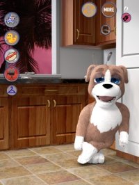 Cкриншот Talking Dog (Duke) 2 - Fun Baby Doggie Pup Poodle Friend, изображение № 2137631 - RAWG