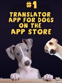 Cкриншот Dog Translator Deluxe, изображение № 879827 - RAWG