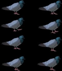 Cкриншот Pigeon, Watcher, изображение № 2573631 - RAWG